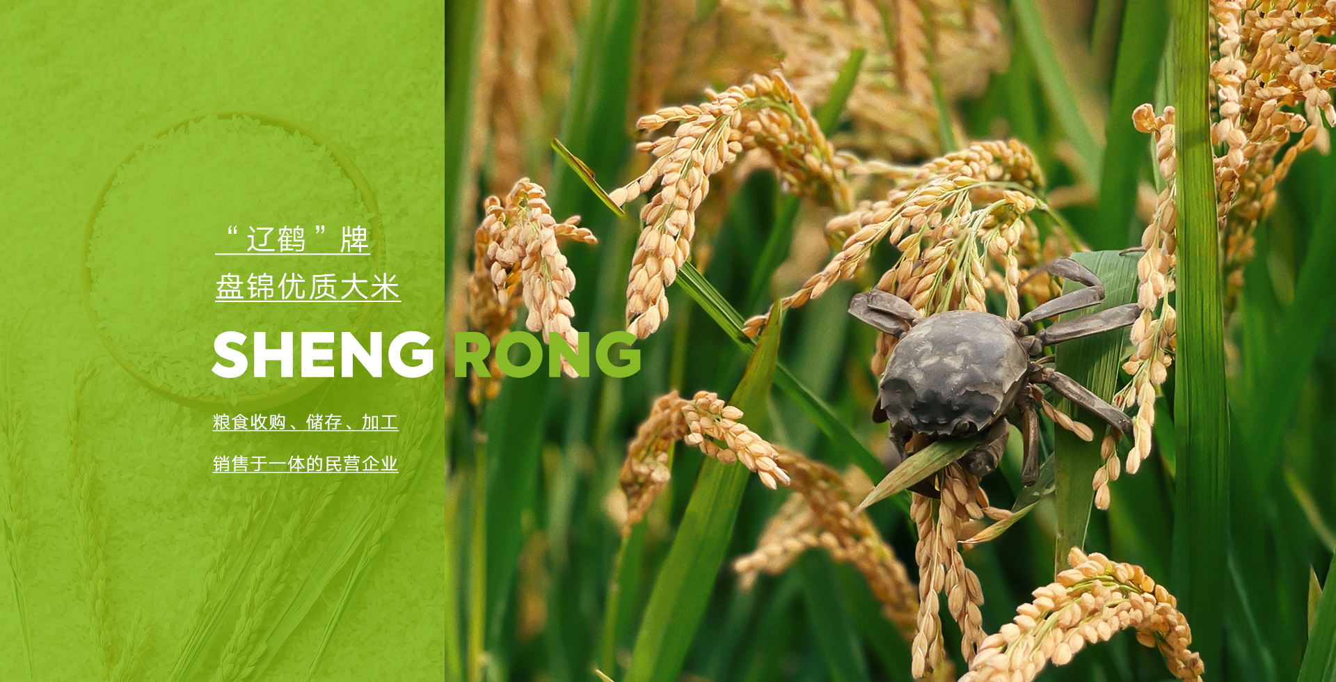 網(wǎng)站首頁